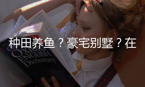 个性境传豪种田宅别在蜀打造的仙养鱼一座府墅说中十足