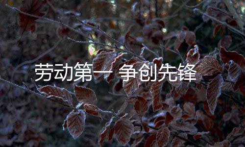 创先劳动 争第一锋