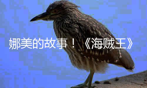 娜美女主V公开传动角外海画P贼王的故全事