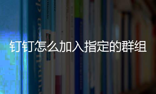 加入怎么指定组钉钉的群