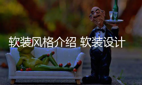 介绍计优装设点是软装 软风格什么